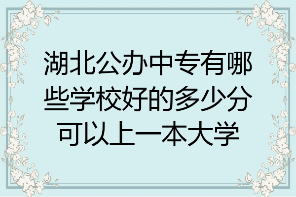 湖北公办中专有哪些学校好的多少分可以上一本大学