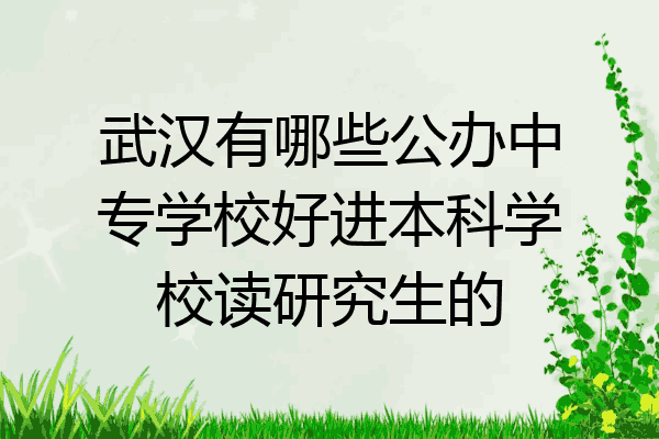武汉有哪些公办中专学校好进本科学校读研究生的