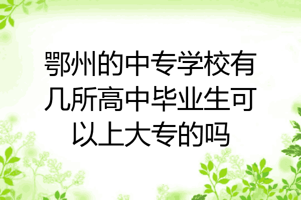 鄂州的中专学校有几所高中毕业生可以上大专的吗
