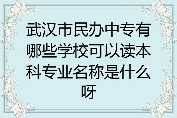 武汉市民办中专有哪些学校可以读本科专业名称是什么呀