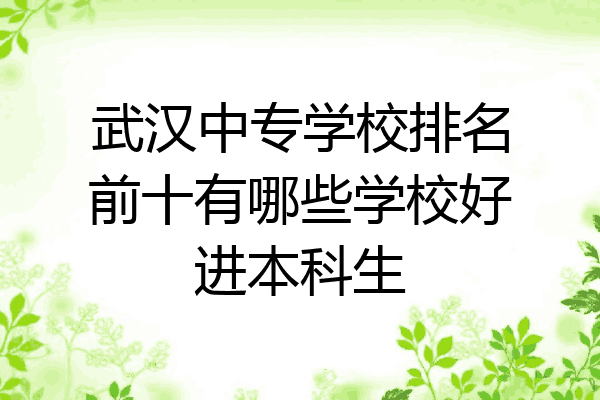 武汉中专学校排名前十有哪些学校好进本科生