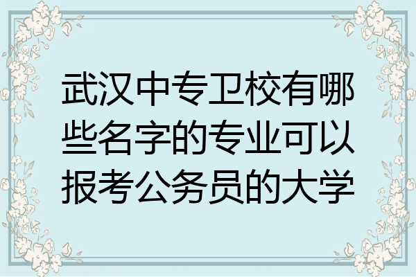 武汉中专卫校有哪些名字的专业可以报考公务员的大学