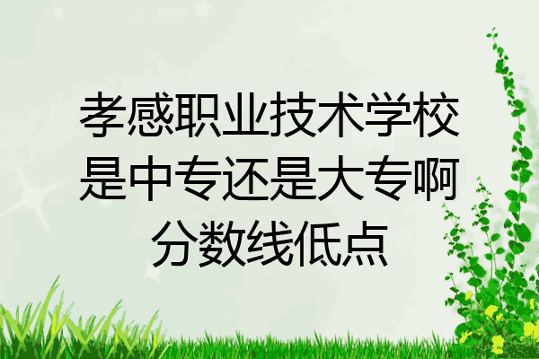 孝感职业技术学校是中专还是大专啊分数线低点