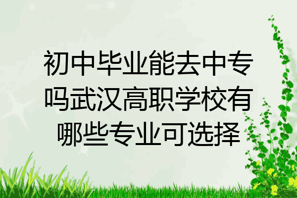 初中毕业能去中专吗武汉高职学校有哪些专业可选择