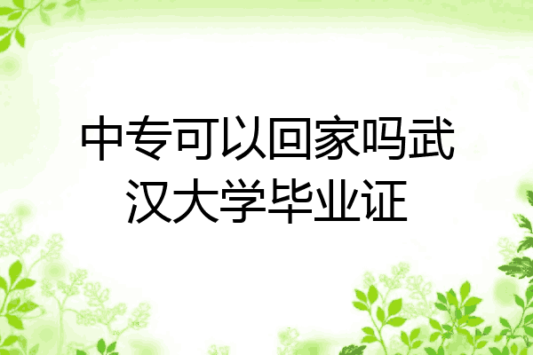 中专可以回家吗武汉大学毕业证