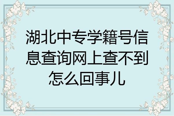 湖北中专学籍号信息查询网上查不到怎么回事儿
