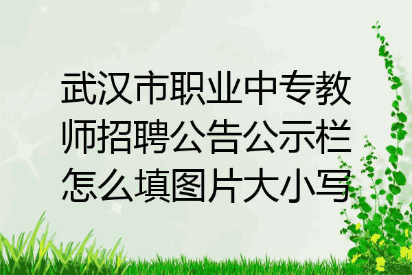 武汉市职业中专教师招聘公告公示栏怎么填图片大小写
