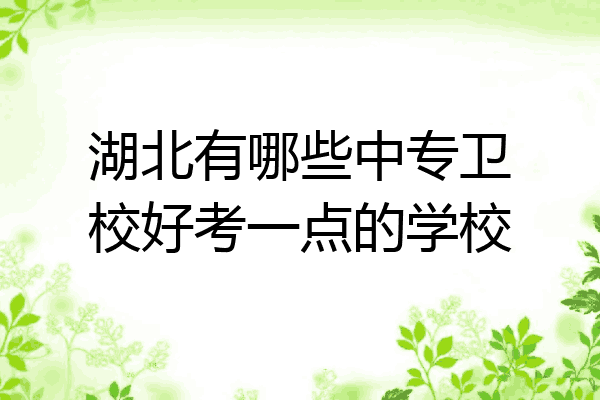 湖北有哪些中专卫校好考一点的学校