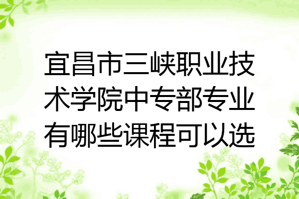 宜昌市三峡职业技术学院中专部专业有哪些课程可以选