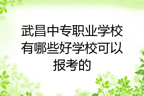 武昌中专职业学校有哪些好学校可以报考的