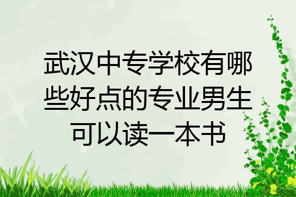 武汉中专学校有哪些好点的专业男生可以读一本书