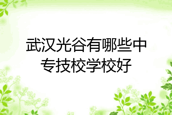 武汉光谷有哪些中专技校学校好