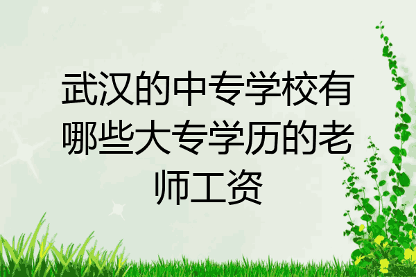 武汉的中专学校有哪些大专学历的老师工资