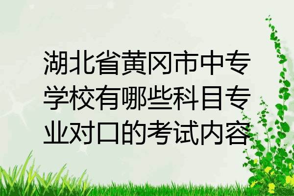 湖北省黄冈市中专学校有哪些科目专业对口的考试内容
