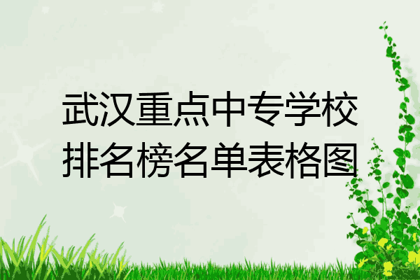 武汉重点中专学校排名榜名单表格图