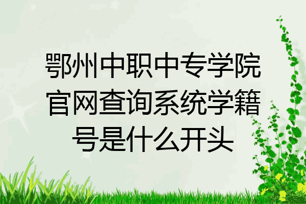 鄂州中职中专学院官网查询系统学籍号是什么开头