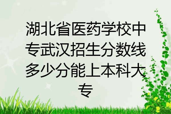 湖北省医药学校中专武汉招生分数线多少分能上本科大专