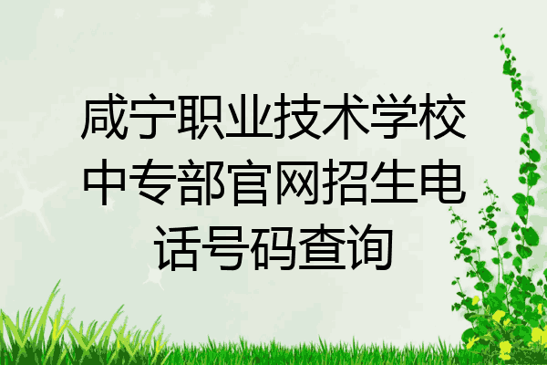 咸宁职业技术学校中专部官网招生电话号码查询