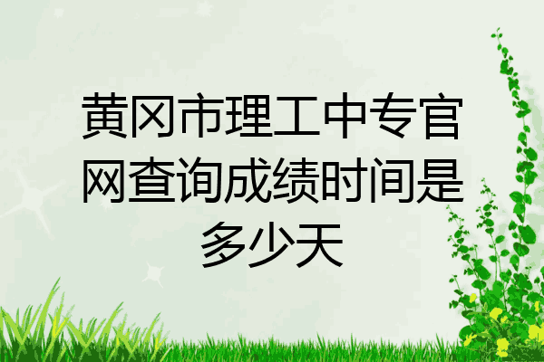 黄冈市理工中专官网查询成绩时间是多少天