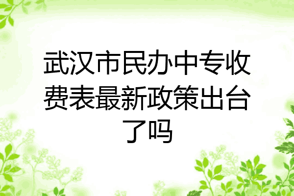 武汉市民办中专收费表最新政策出台了吗