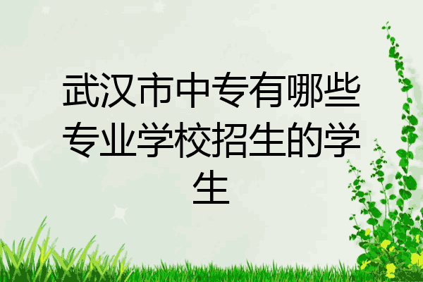 武汉市中专有哪些专业学校招生的学生