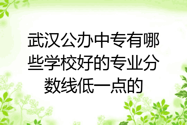 武汉公办中专有哪些学校好的专业分数线低一点的
