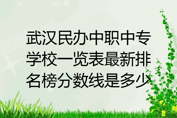 武汉民办中职中专学校一览表最新排名榜分数线是多少