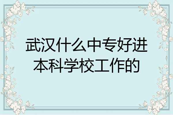 武汉什么中专好进本科学校工作的