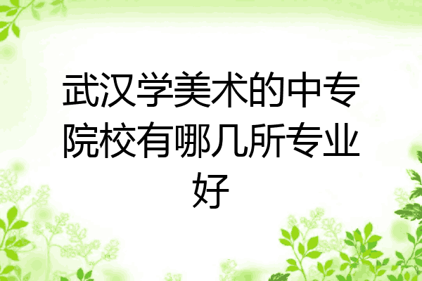 武汉学美术的中专院校有哪几所专业好
