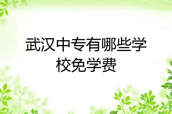 武汉中专有哪些学校免学费
