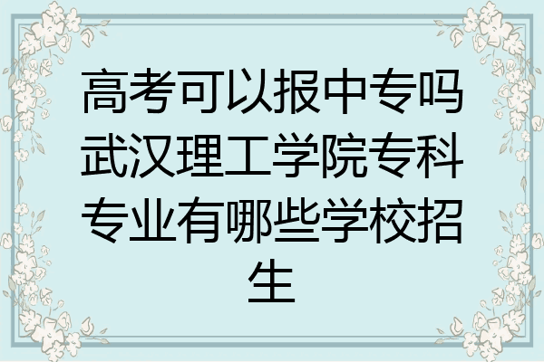 高考可以报中专吗武汉理工学院专科专业有哪些学校招生