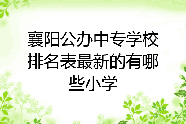 襄阳公办中专学校排名表最新的有哪些小学
