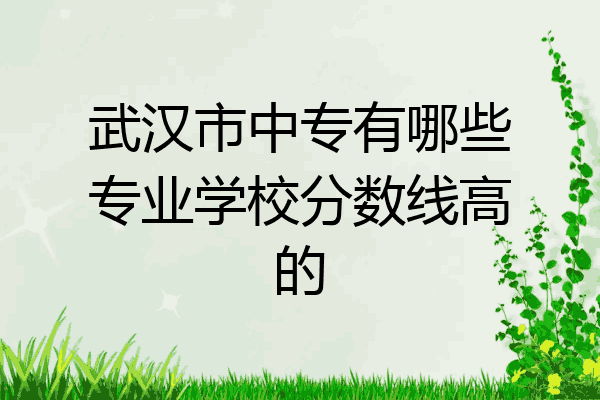 武汉市中专有哪些专业学校分数线高的