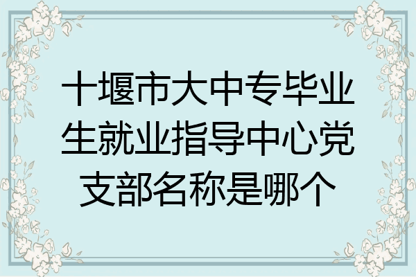 十堰市大中专毕业生就业指导中心党支部名称是哪个