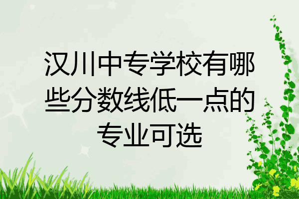 汉川中专学校有哪些分数线低一点的专业可选
