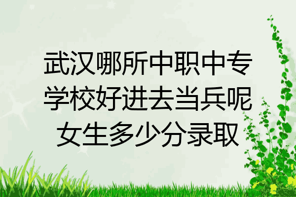武汉哪所中职中专学校好进去当兵呢女生多少分录取