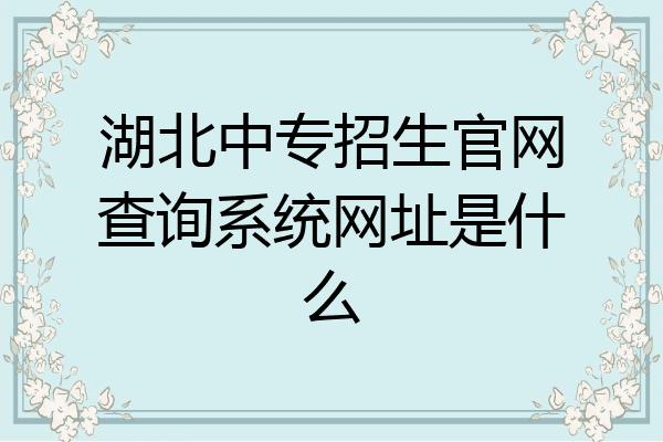 湖北中专招生官网查询系统网址是什么