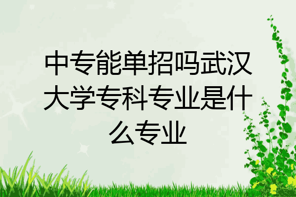 中专能单招吗武汉大学专科专业是什么专业