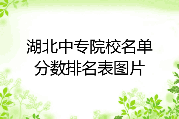 湖北中专院校名单分数排名表图片