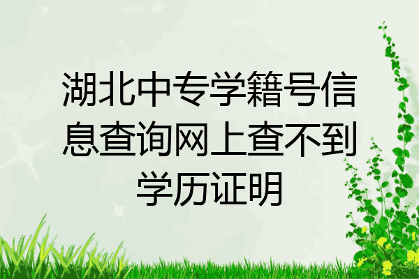 湖北中专学籍号信息查询网上查不到学历证明