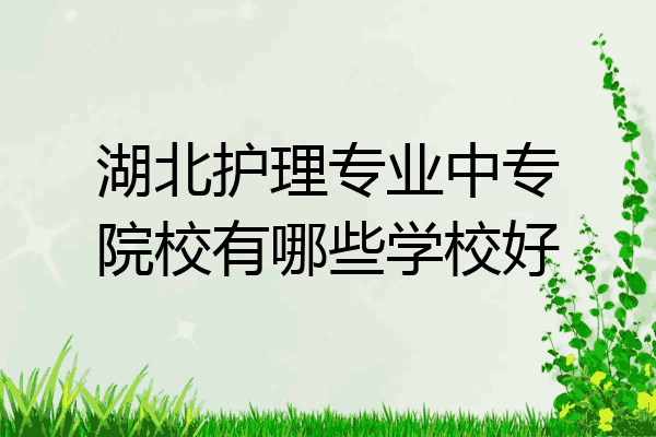 湖北护理专业中专院校有哪些学校好