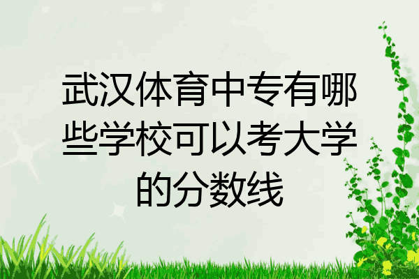 武汉体育中专有哪些学校可以考大学的分数线