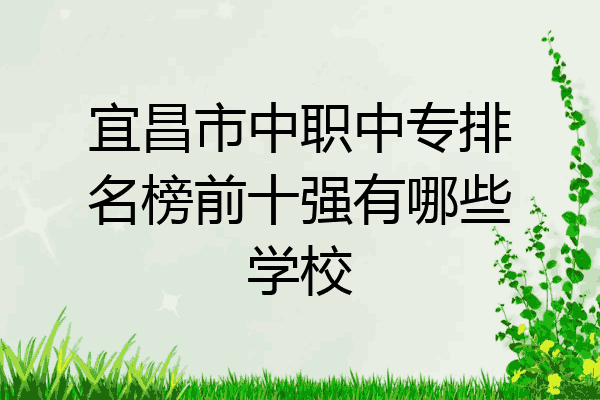 宜昌市中职中专排名榜前十强有哪些学校