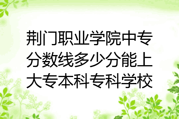 荆门职业学院中专分数线多少分能上大专本科专科学校