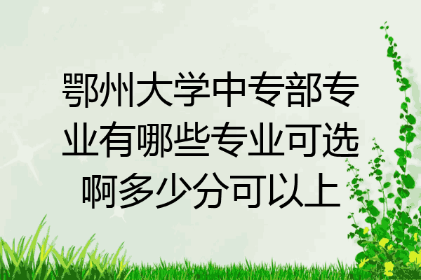 鄂州大学中专部专业有哪些专业可选啊多少分可以上