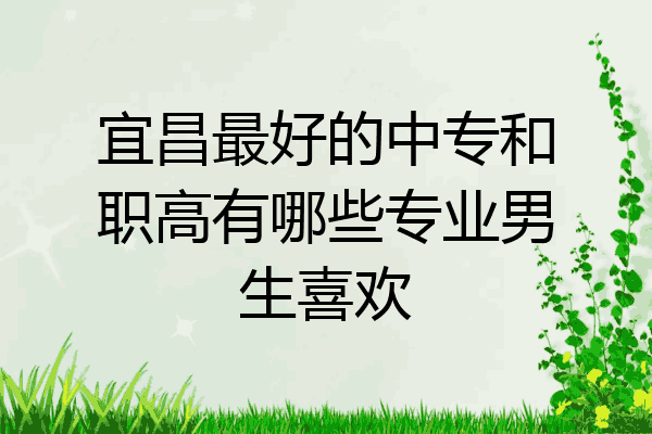 宜昌最好的中专和职高有哪些专业男生喜欢