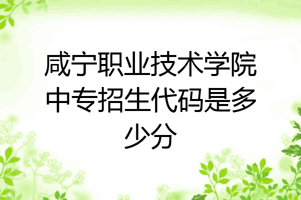 咸宁职业技术学院中专招生代码是多少分