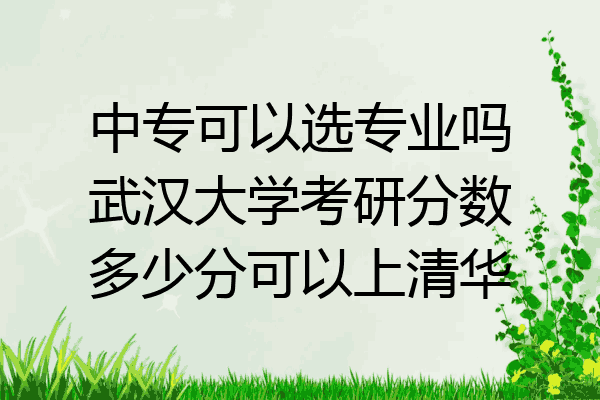 中专可以选专业吗武汉大学考研分数多少分可以上清华