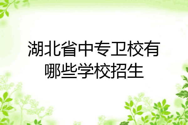 湖北省中专卫校有哪些学校招生