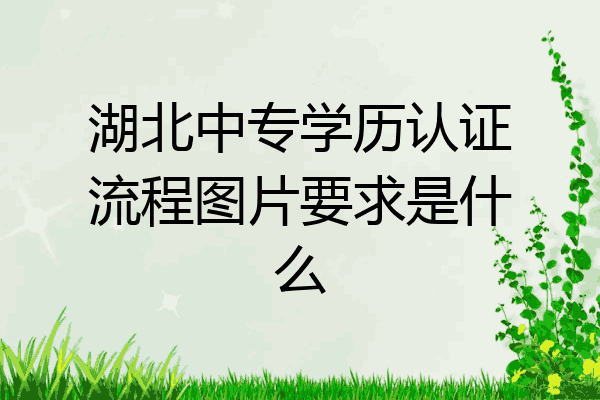 湖北中专学历认证流程图片要求是什么